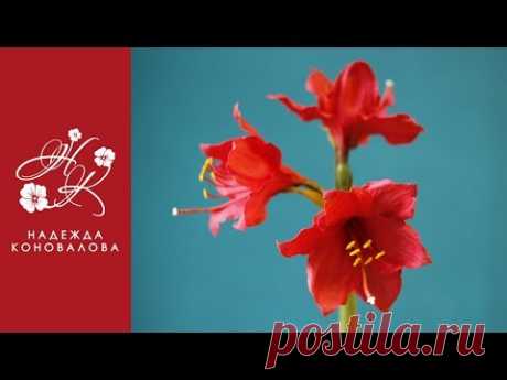 Как сделать цветы амариллиса из фоамирана