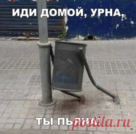 Приколы