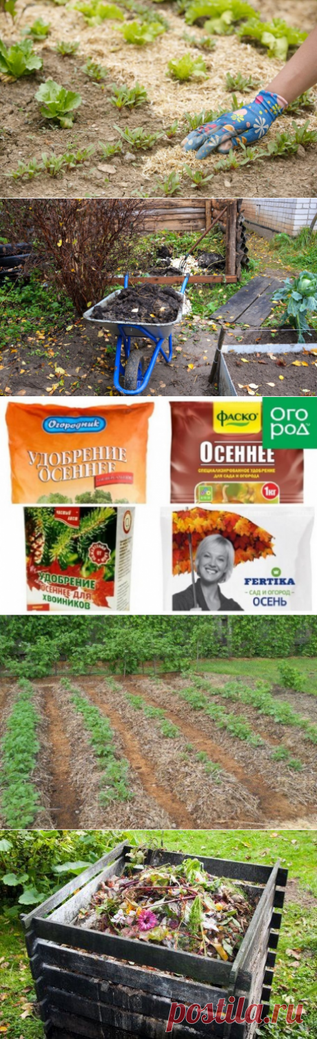 Какую мульчу использовать для разных культур | Почва и плодородие (Огород.ru)