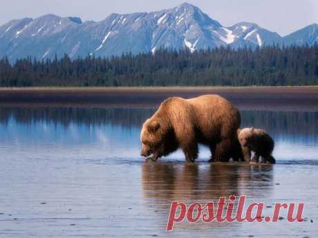 Аляска - земля полуночного солнца и первозданной дикой природы