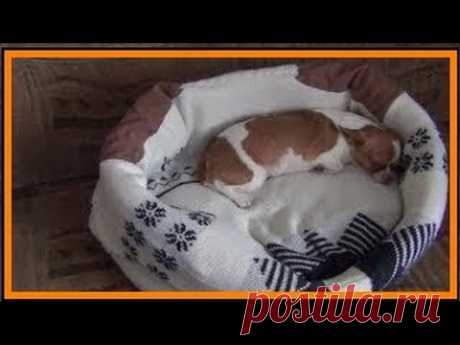 Лежанка для питомца!  # a bed for your pet