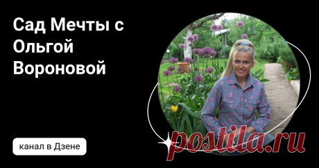 Сад Мечты с Ольгой Вороновой | Дзен