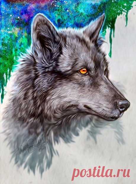 Волк рисунок (27 фото) » Рисунки для срисовки и не только