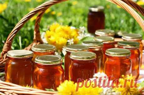 Мёд - польза и вред для здоровья организма