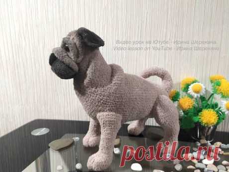 Собака Мопс, ч.5. Dog Pug, р.5. Amigurumi. Crochet.  Вязать игрушки, амигуруми.