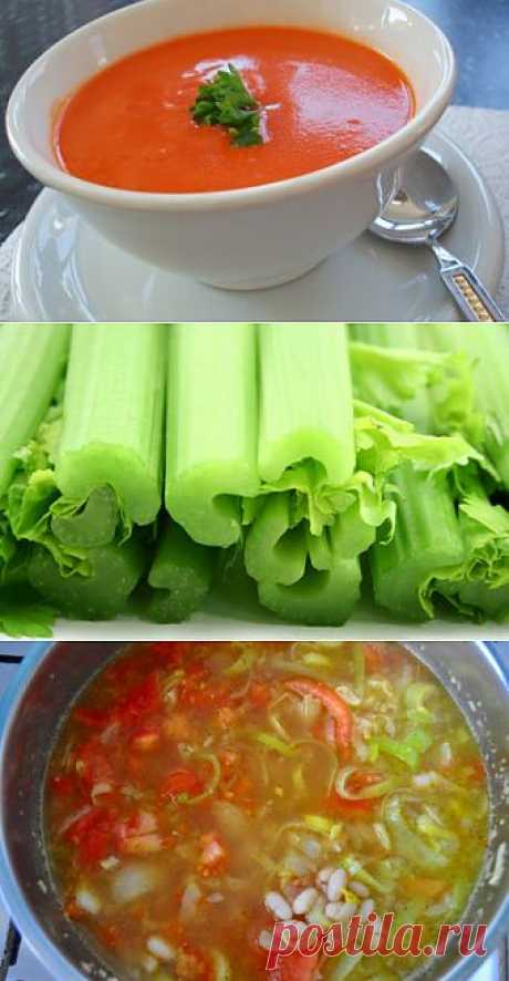 Суп для похудения / Овощные супы / TVCook: пошаговые рецепты c фото