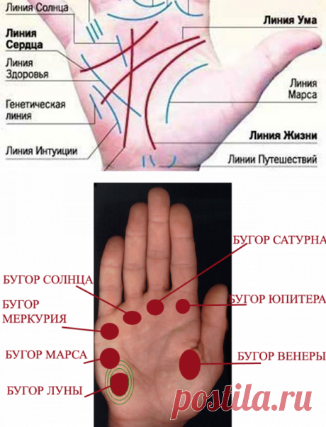 Профессия написана на вашей ладони — Потрясающе правдиво! • Сияние Жизни