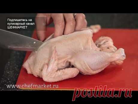 Курица: как разделать курицу, виды мяса курицы. Кулинарная школа ШЕФМАРКЕТ. - YouTube