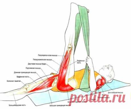 📌Что Вы тянете на самом деле: растяжка мышц в картинках
-----------------------------------------------------------------------------------------------
Растяжка мышц нужна всем – заложникам сидячего образа жизни, физически активным людям и спортсменам. Обеспечивая приток крови к мышцам, растяжка помогает улучшить осанку, облегчить выполнение различных упражнений, снижая при этом риск травм и ослабляя болевые ощущения. Чтобы во время растяжки не пропустить ни одной важной мышцы и обеспечить пр