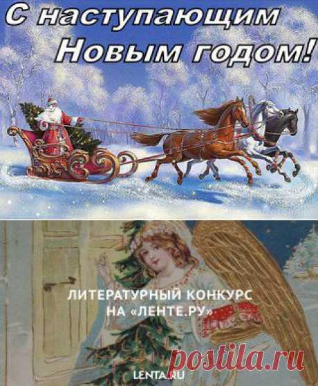 Новости