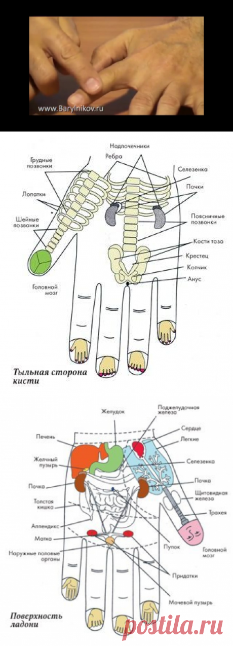 Технология исцеления вашего тела через массаж пальцев.
Будем здоровы! | Видео