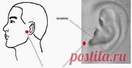 Я всегда её помню - точка Эр мэнь, которая позволяет жить без шума в ушах и с хорошим слухом, расскажу о ней подробнее | health & beauty | Дзен