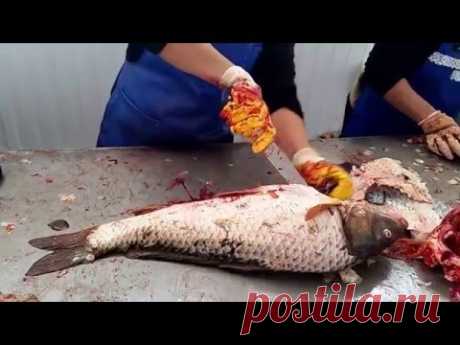 SUPER! Разделка рыбы сазана карпа по-атырауски (рынок Коктем) / Cutting Fillet Fish carp in Atyrau