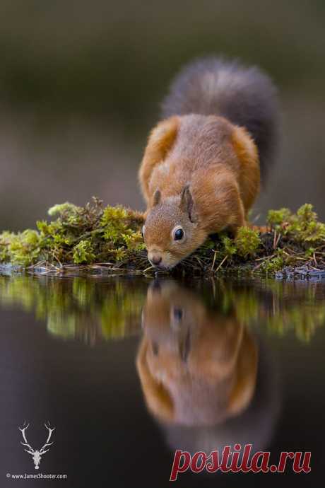 It's the weekend, time for a drink! by James Shooter