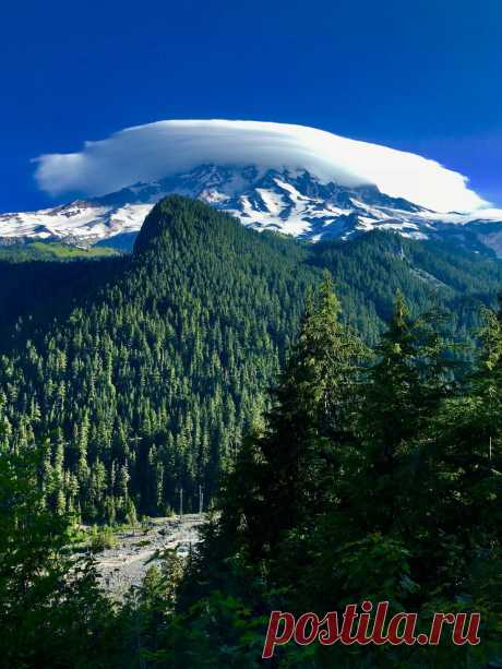 Natures lover • photographers–world: Mount Rainer National park...