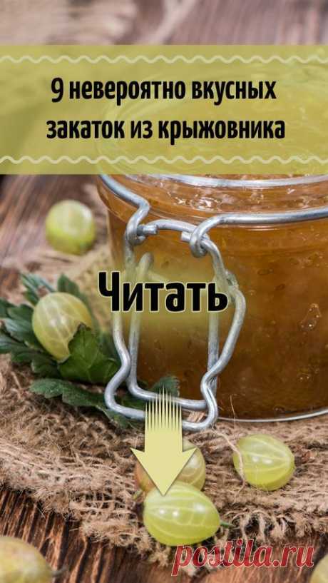 Что приготовить из крыжовника на зиму – 9 невероятно вкусных закаток