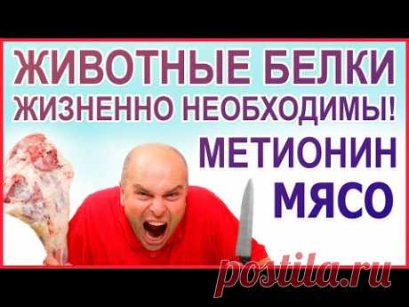 МЯСО нужно есть! Желудок - орган для мяса! Люди - это животные, значит должны есть мясо! Метионин.