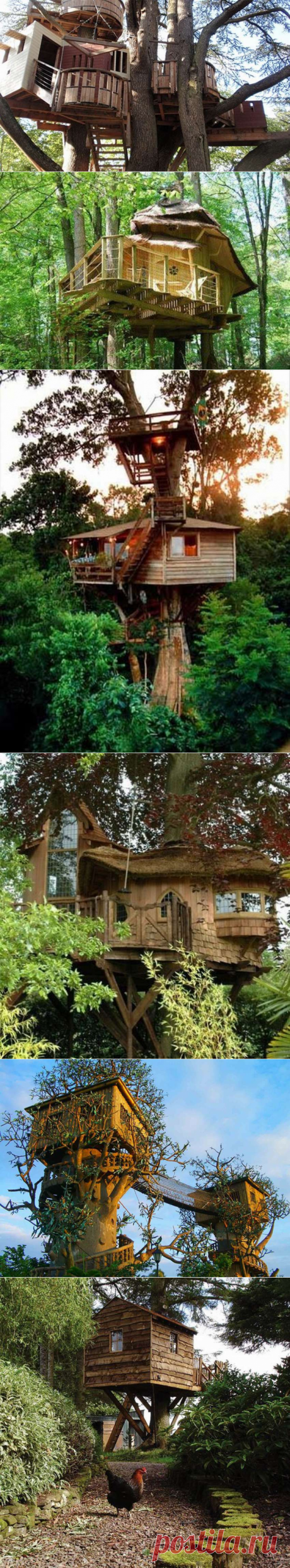Разные дома на деревьях