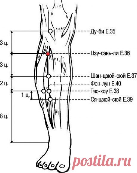 Точечный массаж. Точка ста болезней..