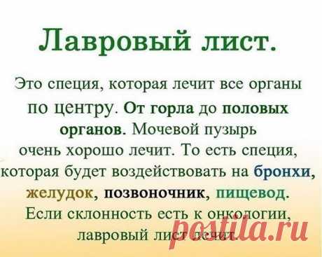 Именно остеохондроз является причиной боли в спине в 80% случаев.

Для тех, у кого застарелый остеохондроз, лучше любых мазей из аптеки помогают средства на основе лаврового листа.

Вот отличные рецепты:
1) Лавровое масло. Залить стаканом оливкового масла 1 ст. ложку мелко нарезанных лавровых листьев и настаивать 15 дней в теплом месте. Лучше всего втирать масло в больные места на ночь, а потом тепло укутываться.

2) Настой. Взять 1 ч. ложку измельченных листьев и залить 1...