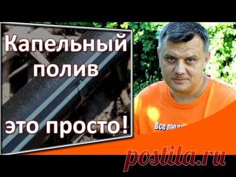 Капельный полив на даче это просто! Быстрая установка системы капельного полива