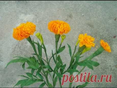 How To Make Marigold Flower From Crepe Paper - Craft Tutorial