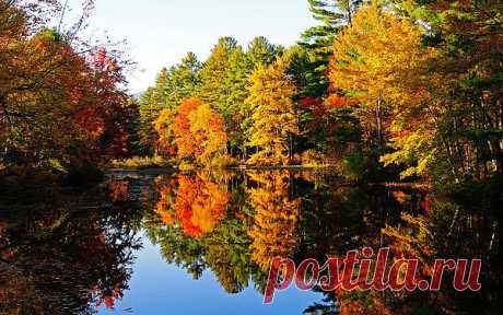 Fall garden