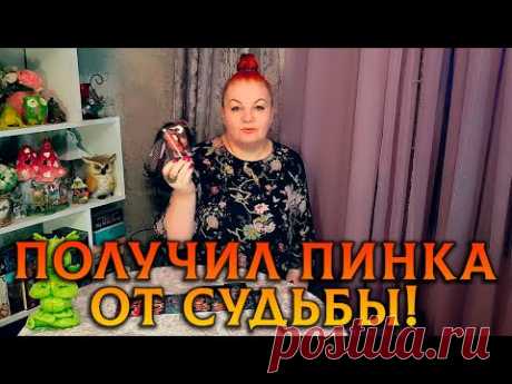 ТРЕШ-РАСКЛАД! ЖИЗНЬ ЕГО ПОСТАВИЛА В ПОЗУ! ПОЛУЧИ ПИНКА ХОРОШУЮ ДОЗУ!