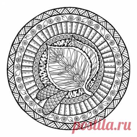 Autumn theme. Circle tribal doodle ornament. Hand drawn birch leaf art mandala. Black and white ethnic background. pattern for coloring book for adults and kids. 123RF - Миллионы стоковых фото, векторов, видео и музыки для Ваших проектов.