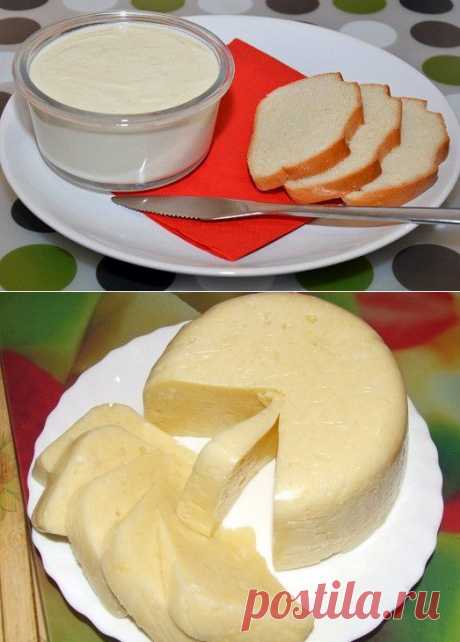 Как приготовить вкусный плавленый сыр? | Планета женщин