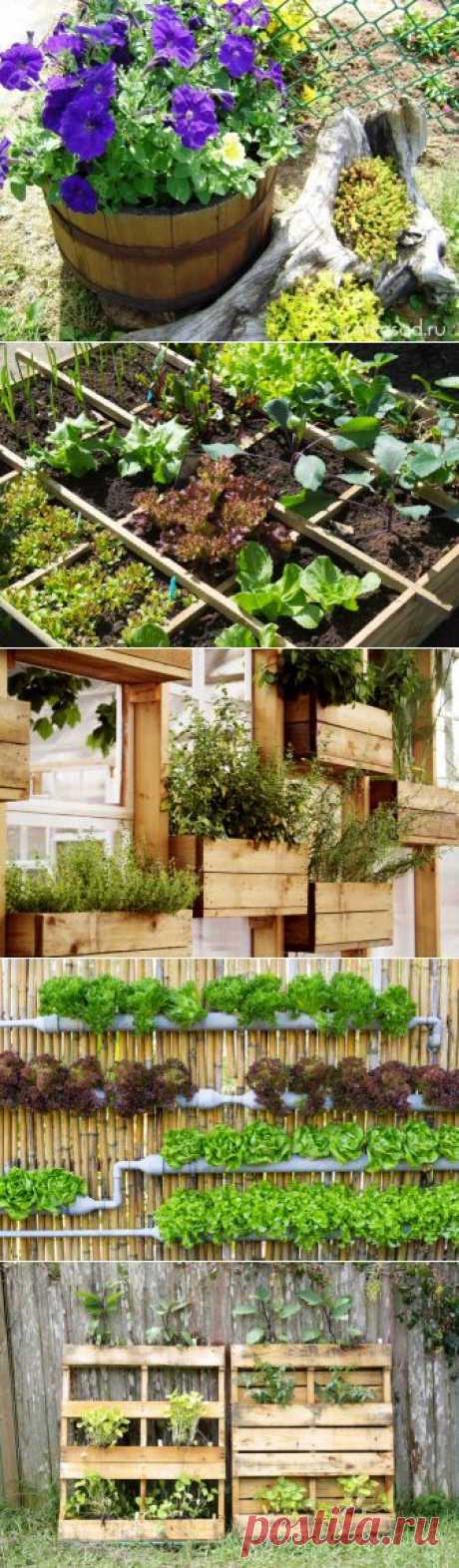 Идеи для контейнерных садов и огородов на небольшом участке | 6 соток