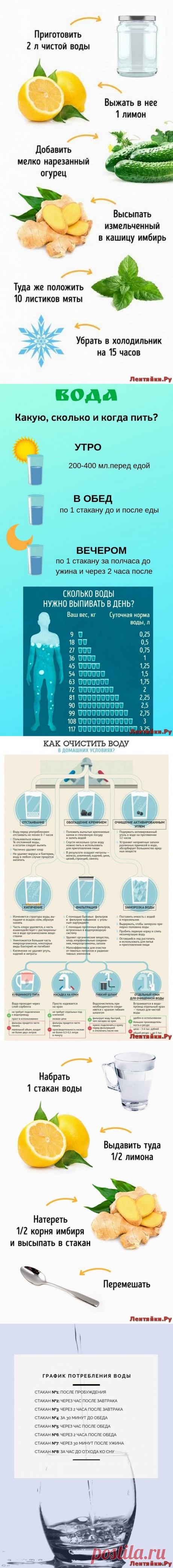 Как правильно пить воду для похудения и сколько | ЛЕНТЯЙКИ.РУЛЕНТЯЙКИ.РУ