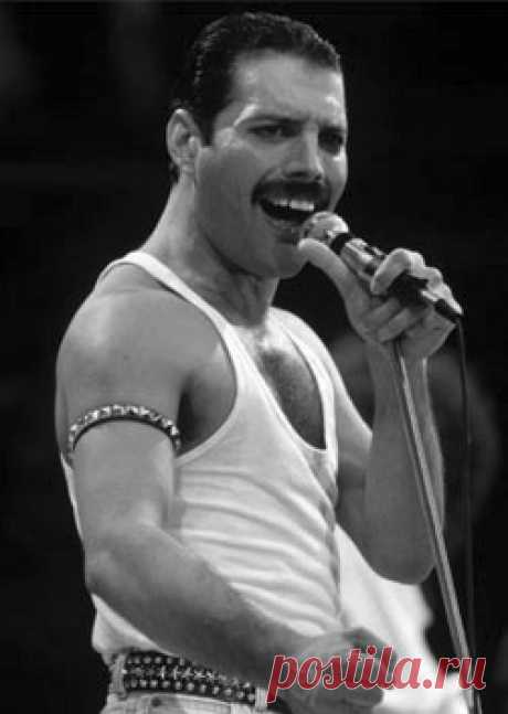 Фредди Меркьюри (Freddie Mercury) фото, биография, личная жизнь