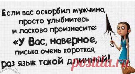 Картинки с юмором: прикольные надписи и фразы | В темпі життя