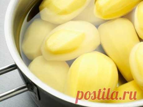 Приготовление вкусного картофеля — Делимся советами