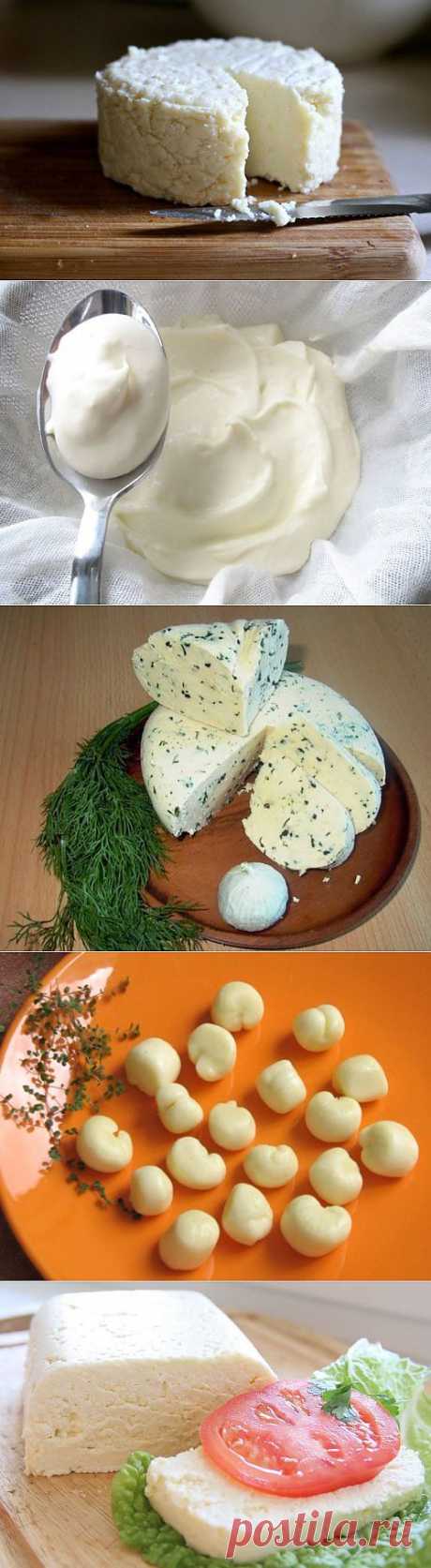 Домашний сыр – проще, чем кажется / Простые рецепты (подборка)