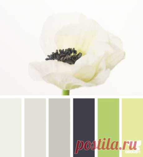 Design Seeds® | for all who ❤ color | flora tones
