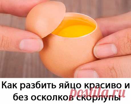 Очень люблю готовить яичницу, и мне не нравится, когда я разбиваю яйцо, и оно падает в сковородку вместе с частичками скорлупы. Также, если неудачно разбить его, то желток может расползаться и глазунья, получается, увы, уже не та. Все эти проблемы закончились, когда я купила классную «открывалку» для яиц.
