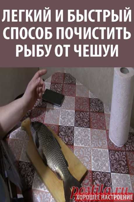 Легкий и быстрый способ почистить рыбу от чешуи
