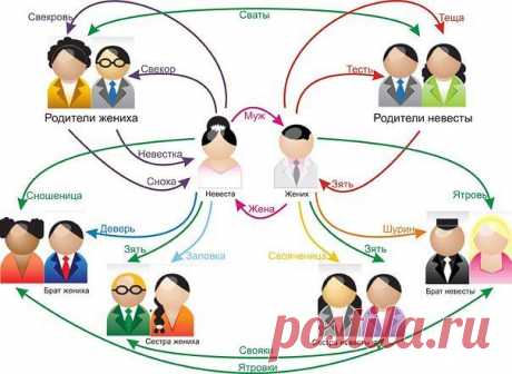 Кто кому и кем доводится