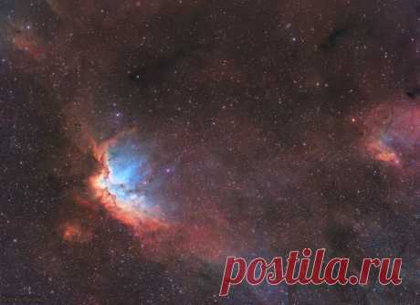 Туманность Колдун: фото Рассеянное звездное скопление NGC 7380 в созвездии Цефей находится в облаке межзвездного газа и пыли, известном как Туманность Колдун.