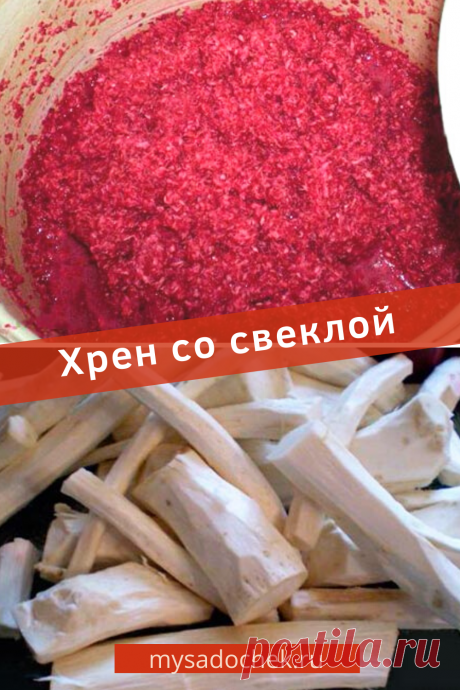 Закуска из хрена со свеклой замечательно подходит к заливным, мясным и рыбным блюдам. Приготовить такую острую закуску, не составит особого труда. Единственное неудобство приготовления в том, что хрен очень едкий корень и без защитных приспособлений его трудно перерабатывать. Но есть способы избежать проблем.