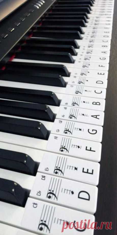 This set of label stickers is for a 61 key piano or keyboard, Labels are in order ready to be placed on the keys with middle C highlighted for easy reference. Labels are easily removed if needed. Each Label is 20mm wide x 48mm long on an Opaque Gloss white paper.  The labels will help anyone wanting to learn piano, with the letter of the key and note placement on the bar to aid and help speed up the process of learning piano.  LET’S MAKE PIANO EASIER SO MO #bestwaytolearnpiano
