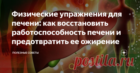 Физические упражнения для печени: как восстановить работоспособность печени и предотвратить ее ожирение 
Болезни печени входят в топ самых распространенных проблем со здоровьем. Плохая экология, неправильное питание, гиподинамия и постоянные стрессы накладывают серьезный отпечаток на работу этого органа. Помимо медикаментозного поддержания печени и фитотерапии, существует эффективный комплекс упражнений. Он позволяет контролировать состояние печени и