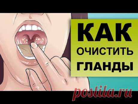 КАК ПРОМЫВАТЬ ГЛАНДЫ