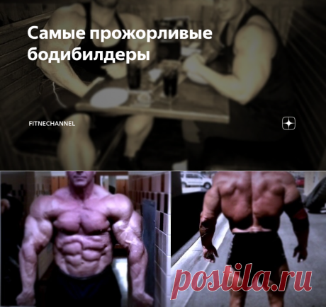 Самые прожорливые бодибилдеры | fitnechannel | Яндекс Дзен