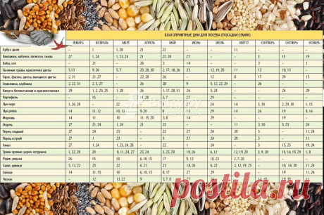 Таблица посева семян на рассаду на 2016 год - фото