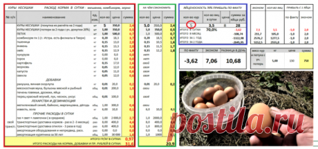 Вот держу от 5 - 30 кур несушек, А есть ну хоть какая выгода ? | Хозяйство Воронова | Яндекс Дзен