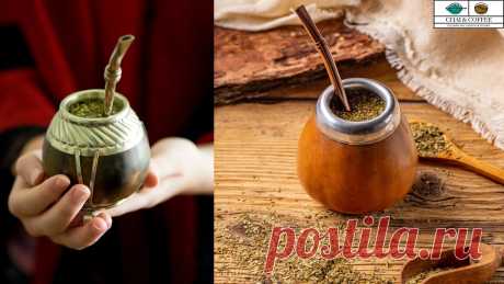 Чай Мате - стимулируйте свой организм здоровым способом