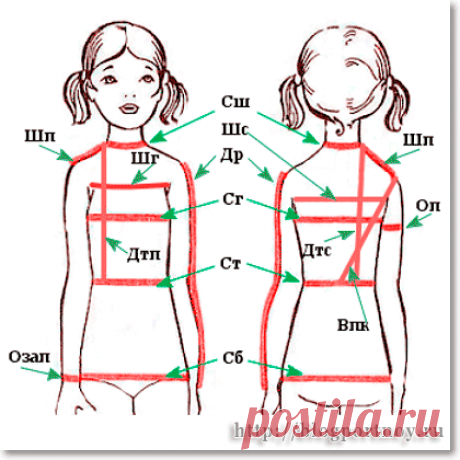 Основные измерения детской фигуры